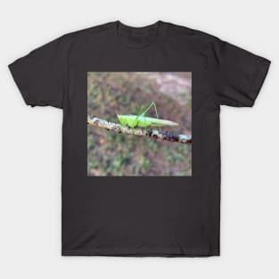 Grasshopper T-Shirt